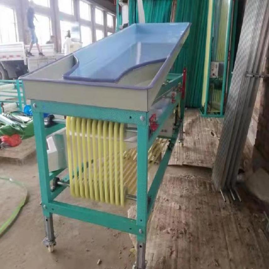 慧采小型柑橘选果机 小型樱桃选果机 软枣选果机