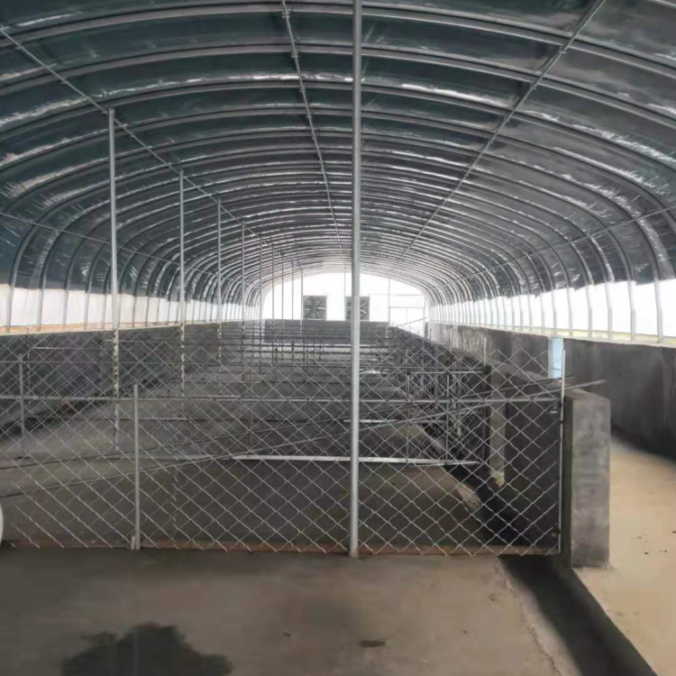 椭圆管养殖大棚设计 日光养殖大棚 日光温室大棚建设