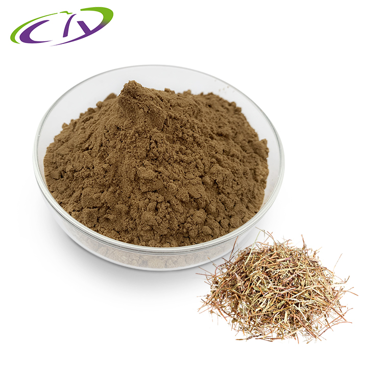 慈缘生物 SC厂家 百里香提取物10:1 麝香草提取物 百里香粉 片剂胶囊原料