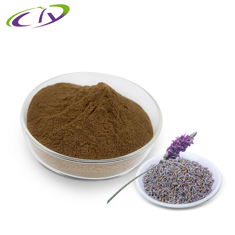 慈缘生物 SC厂家 薰衣草提取物10:1 薰衣草粉 片剂胶囊原料