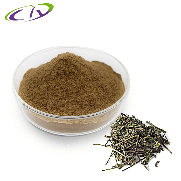 慈缘生物 SC厂家 猫须草提取物10:1 肾茶提取物 猫须草粉 片剂胶囊原料