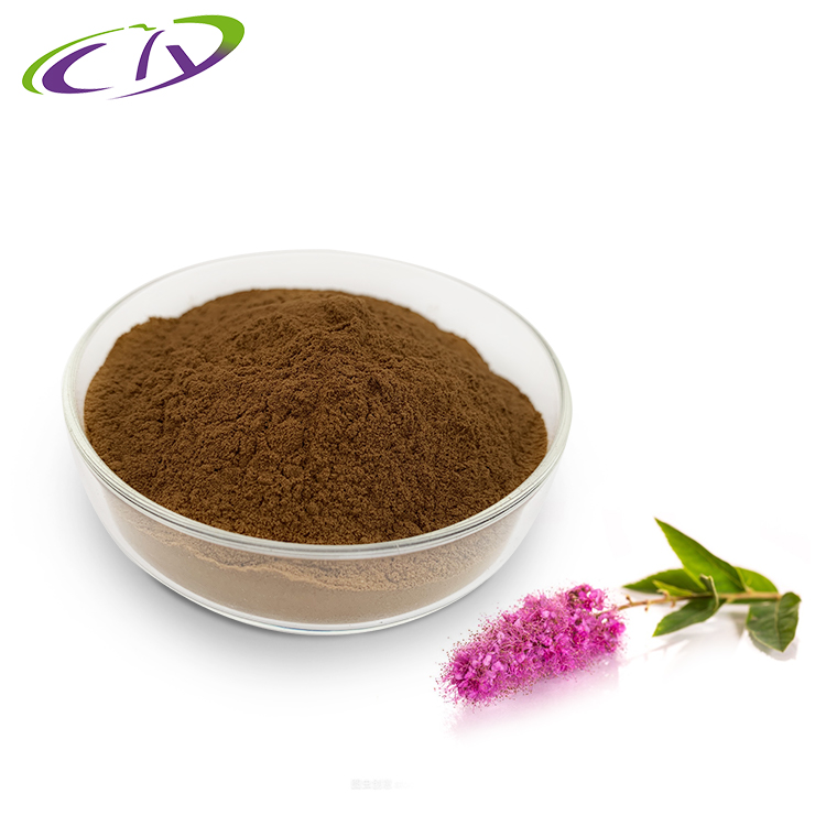 慈缘生物 SC厂家 绣线菊提取物10:1蚂蝗梢提取物 绣线菊粉 片剂胶囊原料