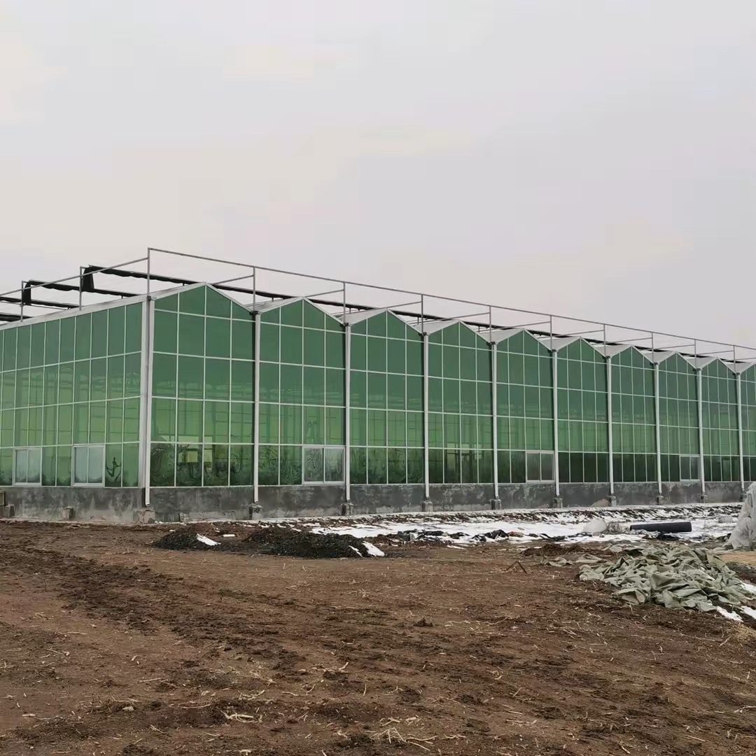 山西太原温室大棚骨架厂家价格 玻璃温室花卉蔬菜种植基地园区规划