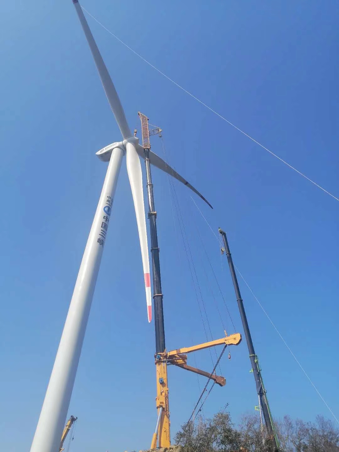 临河区8-130吨吊车出租报价 大型树木吊装 随叫随到