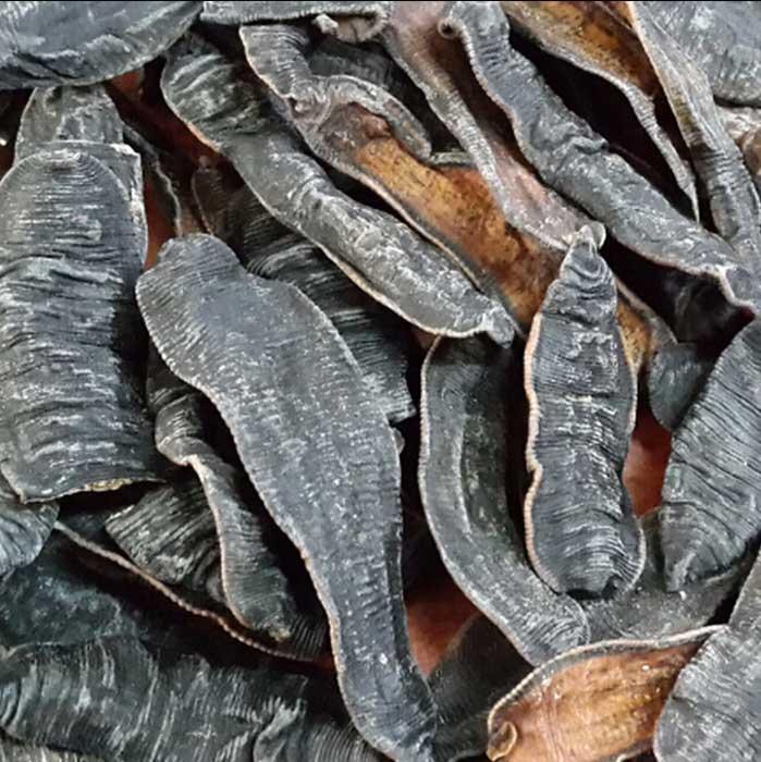水蛭中药材 水蛭价格 水蛭药材供应 水蛭厂家直销 水蛭产地货源