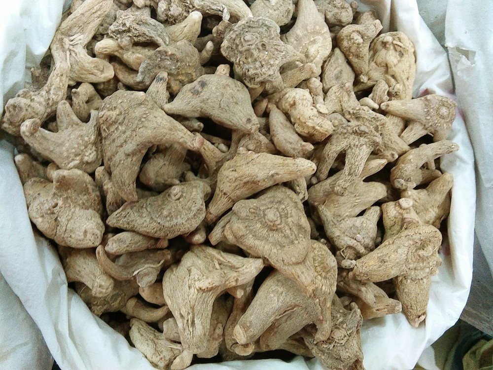 白及中药材批发 零售白及 白及产地货源 直销白及