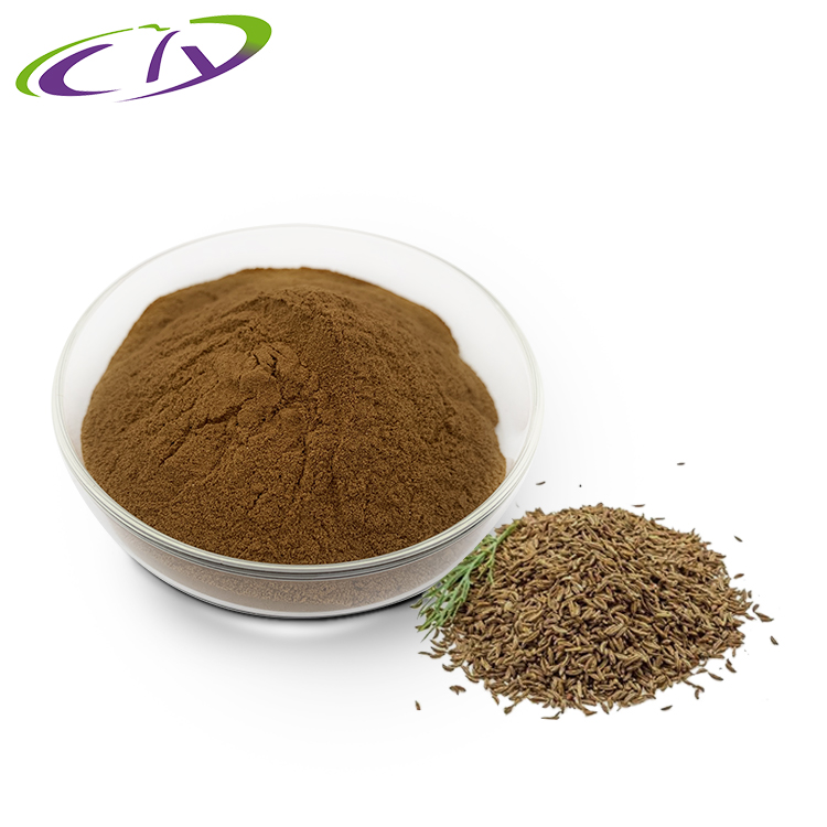 慈缘生物 SC厂家 孜然提取物10:1 孜然粉 片剂胶囊原料 源头工厂现货供应