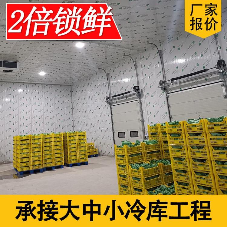 宝鸡小型风冷蔬菜保鲜冷库 地下排管保鲜库设计 蔬菜水果保鲜库安装报价