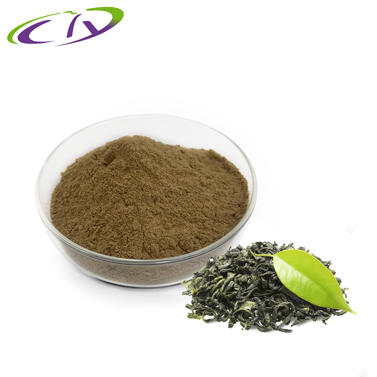 慈缘生物 SC厂家 绿茶提取物10:1 绿茶粉 片剂胶囊原料 源头工厂现货供应