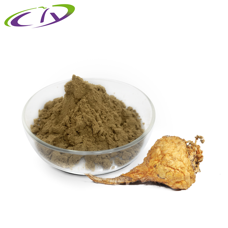 慈缘生物 SC厂家 黄玛卡提取物10:1 黄玛卡粉 片剂胶囊原料 源头工厂现货供应