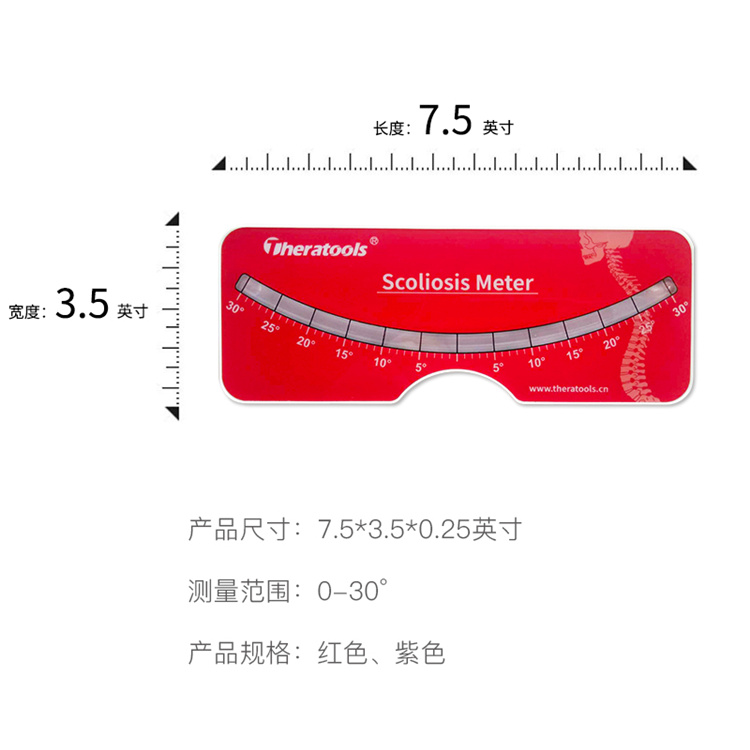  脊柱筛查评估测量尺 供应脊椎侧弯尺 康复评定脊椎侧弯尺