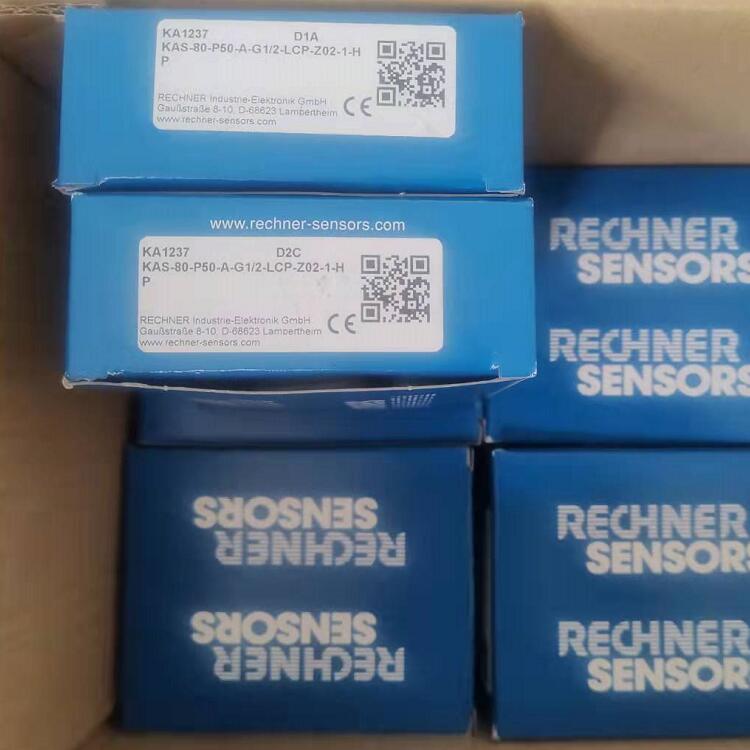 RECHNER KA1237料位计CUDERM	D100