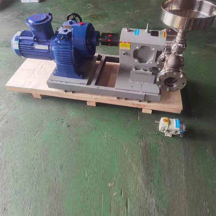 供应 可正反转凸轮转子泵 高粘度泵 糖浆蜂蜜泵 型号齐全 欢迎咨询