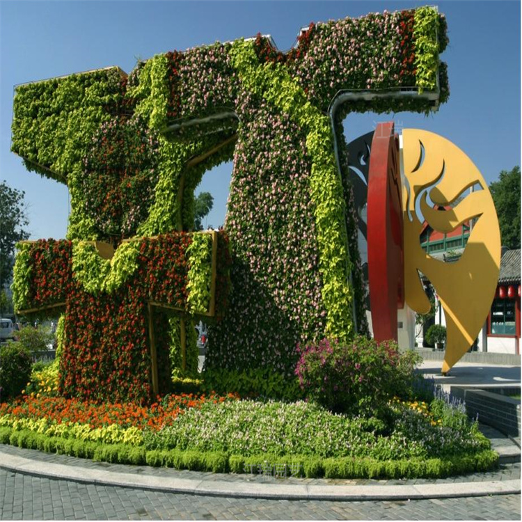 五色草种植