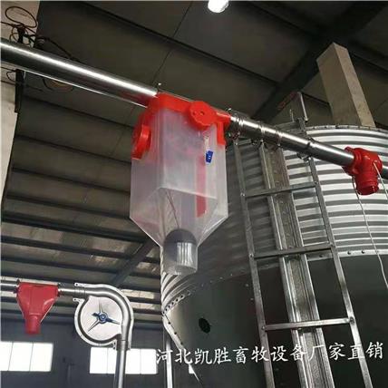 肥猪喂料线_母猪喂料线_自动料线_质量可靠实体厂家批发生产