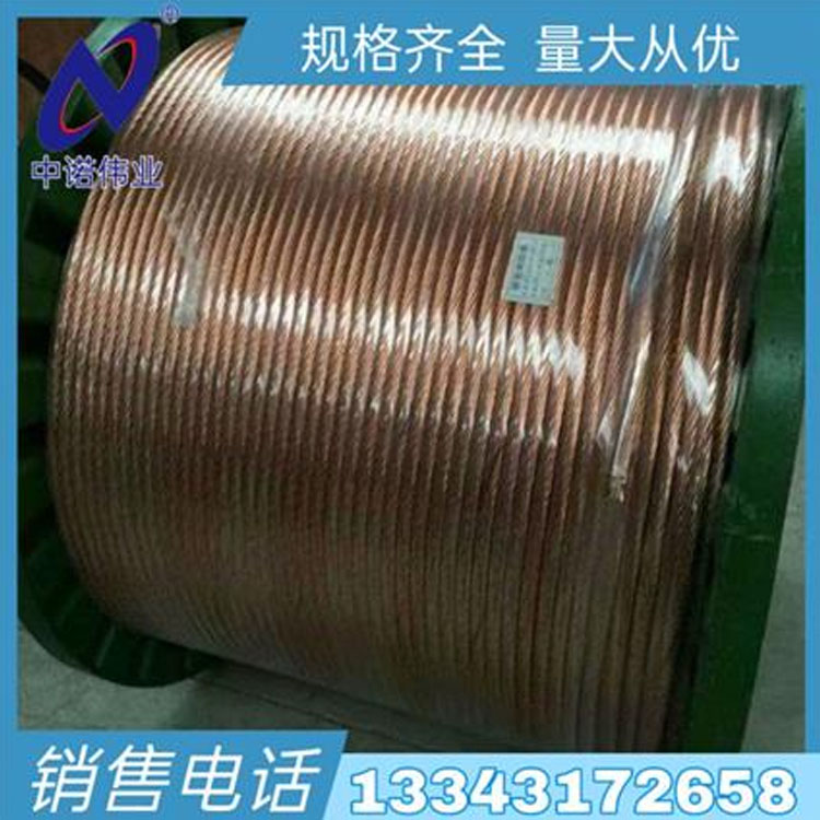 河北中诺 镀锡铜绞线 铜包钢绞线厂家 镀铜钢绞线70mm2