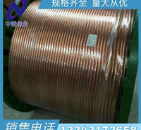 河北中诺 镀锡铜绞线 铜包钢绞线厂家 镀铜钢绞线70mm2