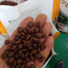鲜肉狗粮膨化机 天然无谷狗粮膨化机