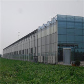 承接玻璃温室工程 玻璃大棚桂花种植 连栋玻璃温室预算