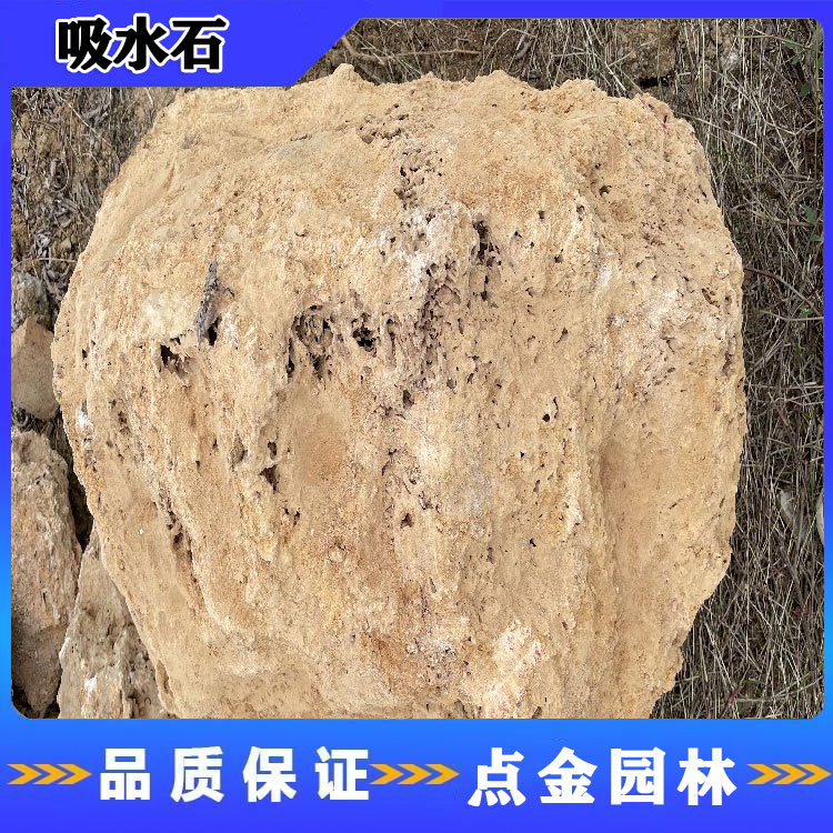 贵州吸水石  吸水石盆景摆件 点金园林厂家直销 大型吸水石 