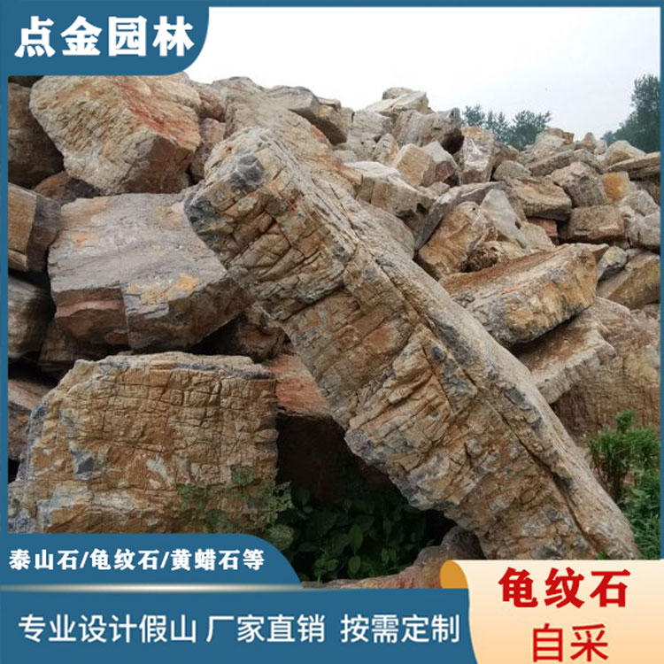 上海龟纹石批发 点金园林龟纹石 龟纹石假山石