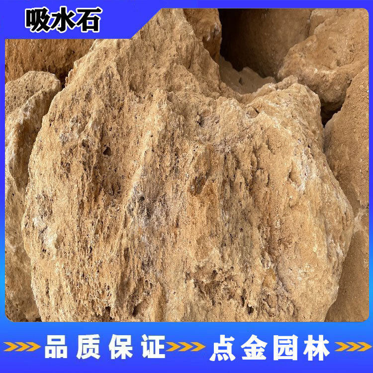 江苏吸水石 庭院景观吸水石 吸水石假山盆景