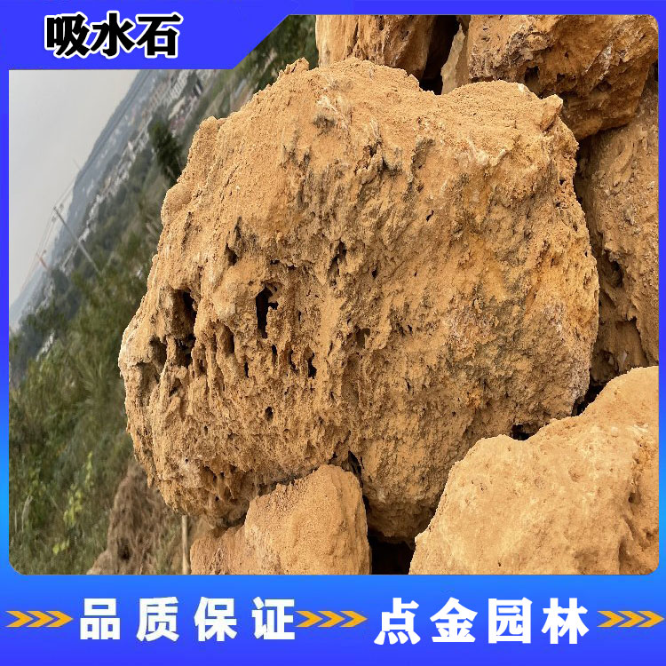 北京吸水石批发 点金园林厂家直销 大量供应 欢迎咨询