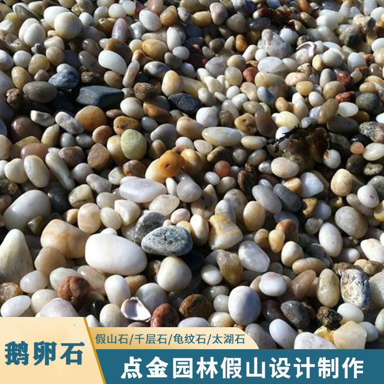 四川鹅卵石 天然鹅卵石批发 彩色碎石子铺路石 点金园林厂家直销