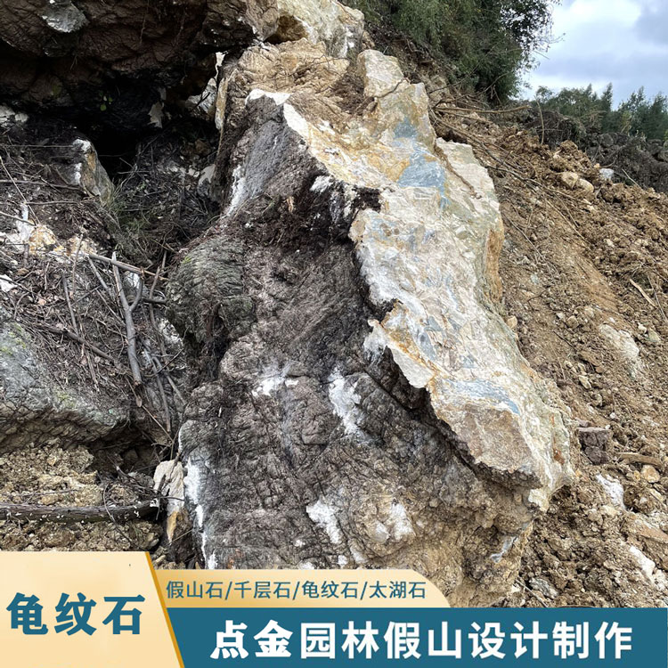 江苏大型龟纹石 大型龟纹石假山制作 庭院造景石材 点金园林批发龟纹石 