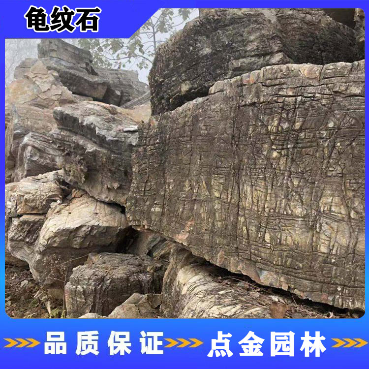 北京大型龟纹石 龟纹石厂家 点金园林 精品假山龟纹石 园林造景龟纹石