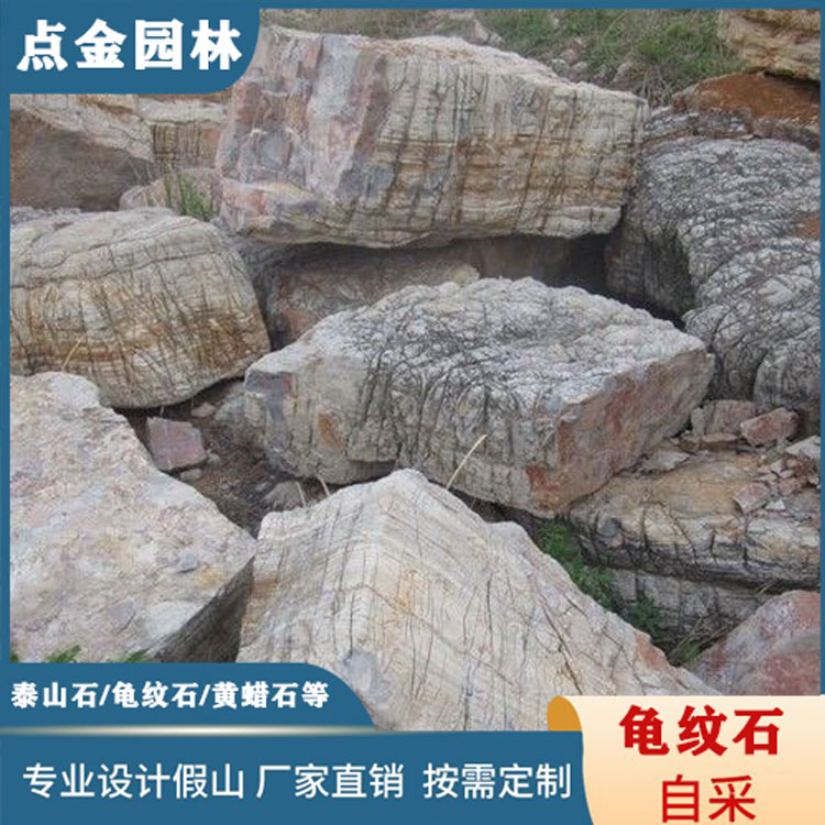 广东龟纹石 龟纹石批发 天然龟纹石假山石料 庭院龟纹石假山