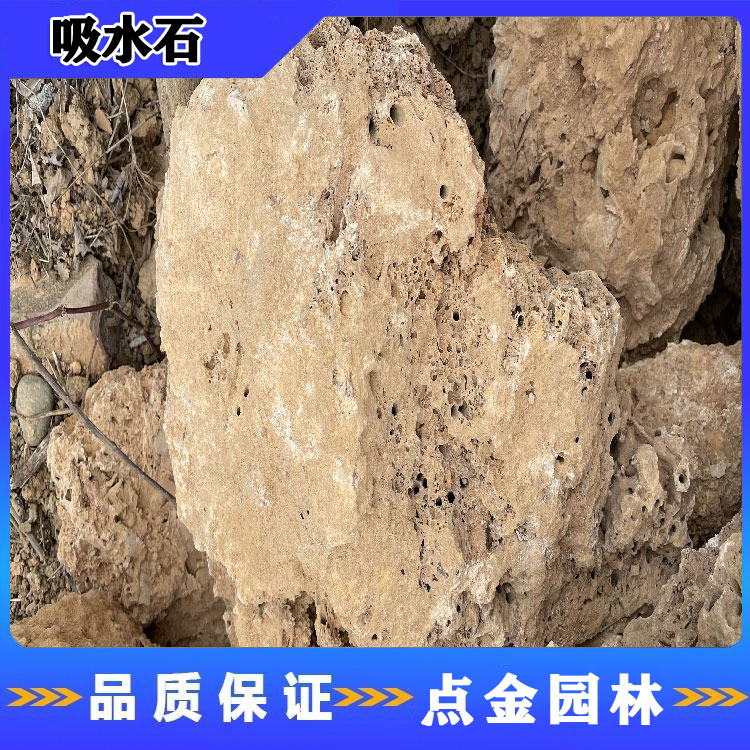 安徽吸水石批发 庭院吸水石 假山吸水石 点金园林直销