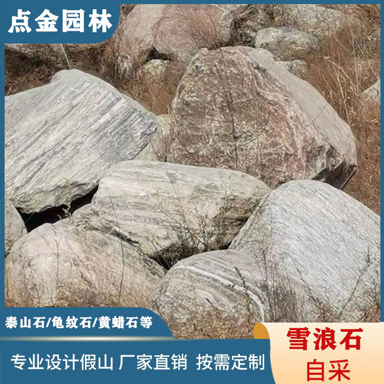 江苏庭院内雪浪石 泰山石原石 点金园林石业直销 雪浪石切片