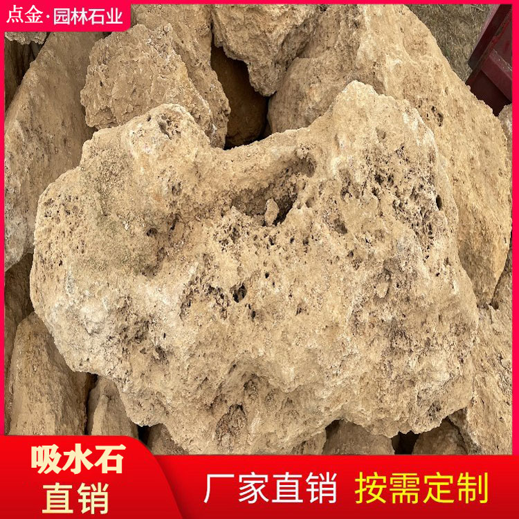 贵州吸水石  景观石 吸水石盆景摆件 大型吸水石 点金园林厂家直销
