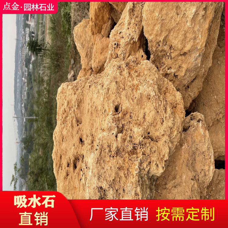 四川富贵绿吸水石 盆景吸水石 庭院吸水石