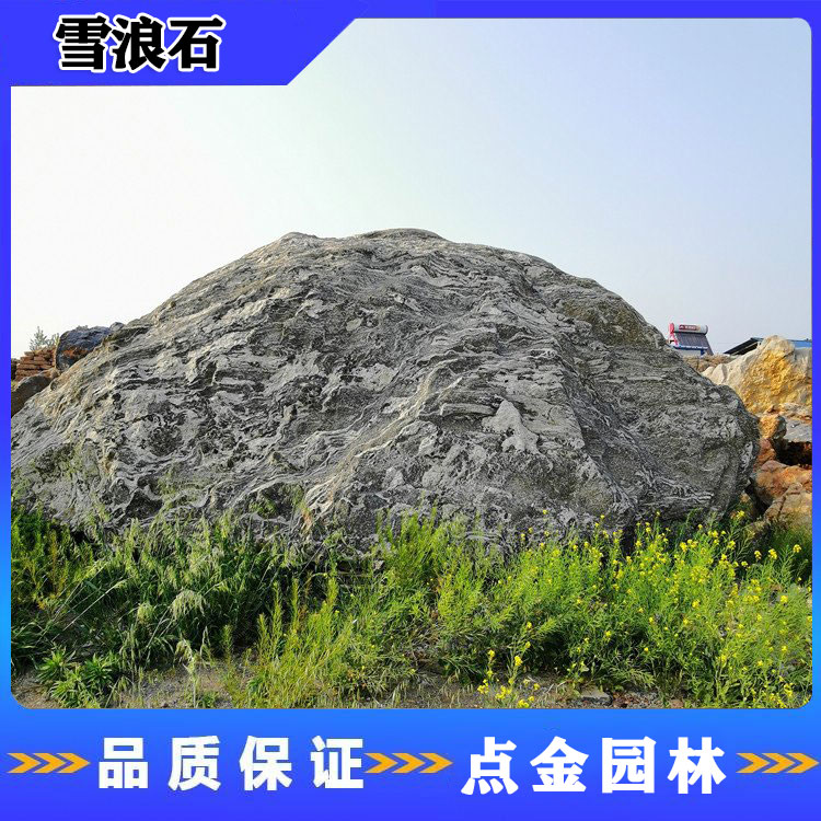 浙江雪浪石报价 点金园林景观雪浪石 天然小景观石 庭院雪浪石