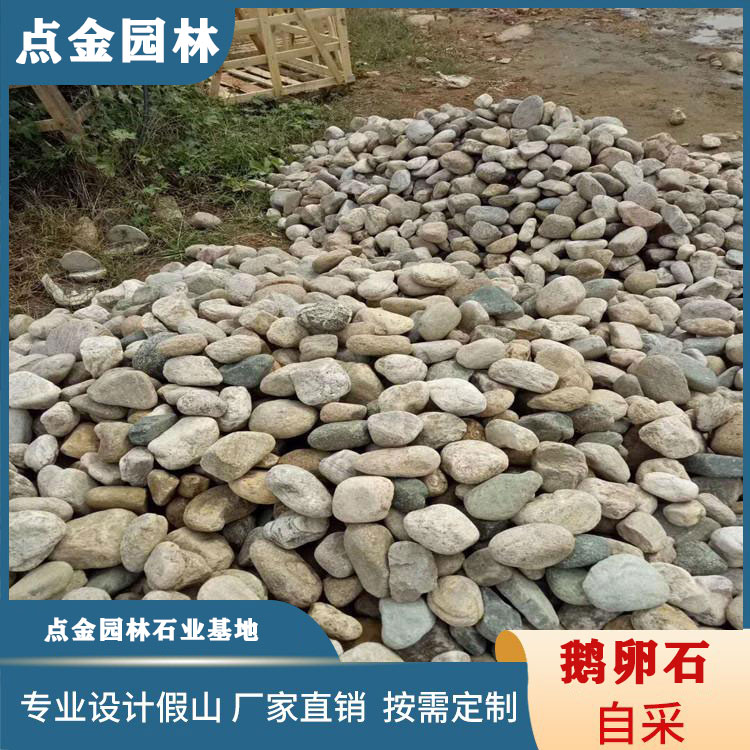 安徽鹅卵石切片 点金园林直销 鹅卵石批发 铺路鹅卵石