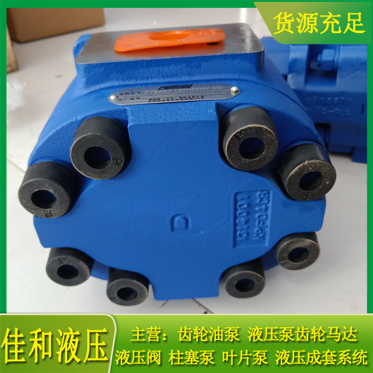 柳工装载机工作泵 1117031213 11C1060-佳和液压