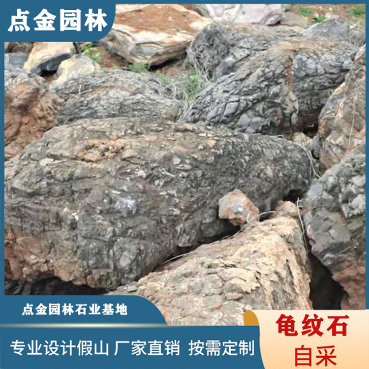 龟纹石灵璧石假山石 龟纹石假山 精选龟纹石 厂家直销
