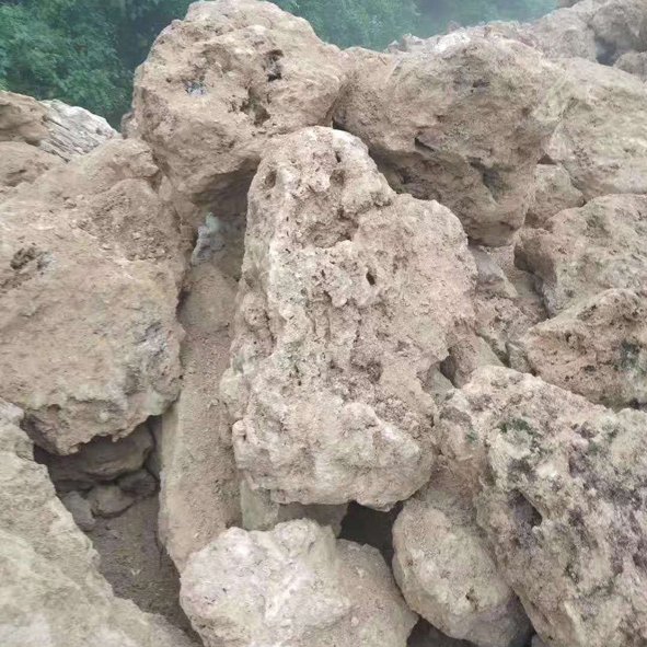常州吸水石批发厂家 假山石吸水石 吸水石园林
