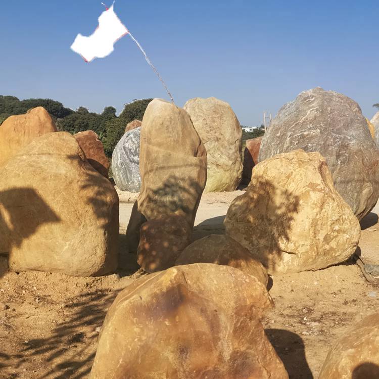 北京驳岸龟纹石 鹅卵石切片 假山龟纹石 点金园林直销