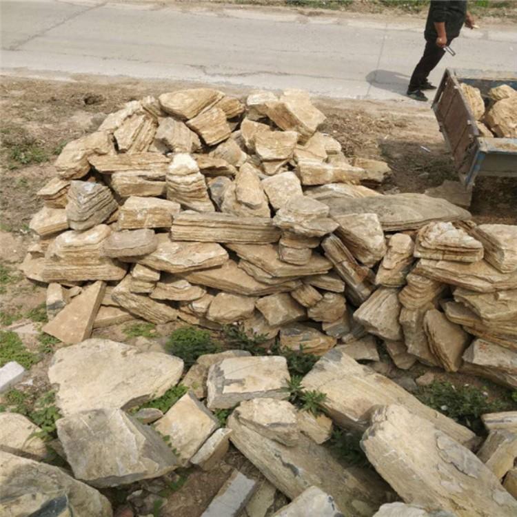 江西大型龟纹石批发 天然龟纹石 龟纹石假山