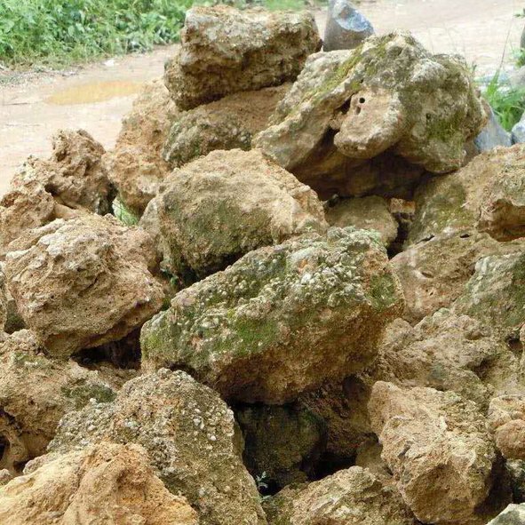 四川上水石假山 天然吸水石 吸水石厂家 点金园林吸水石供应商