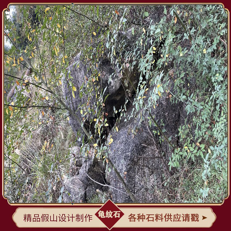 广东龟纹石假山批发  黑色龟纹石 龟纹石假山