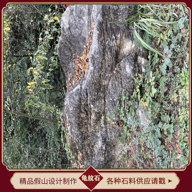 浙江龟纹石假山石 天然龟纹石 龟纹石假山 庭院龟纹石