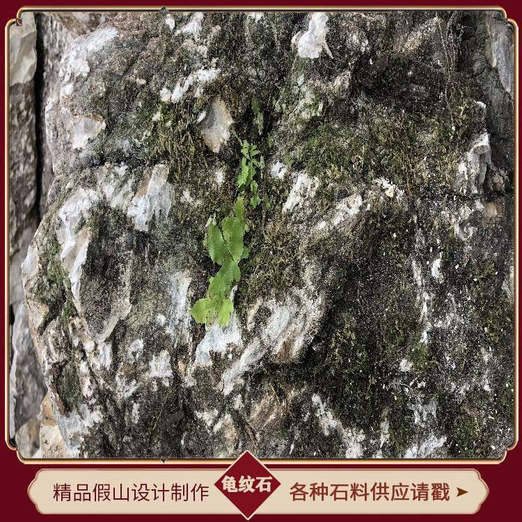 江西龟纹石 千层石 龟纹石价格直销 点金园林批发基地 假山龟纹石