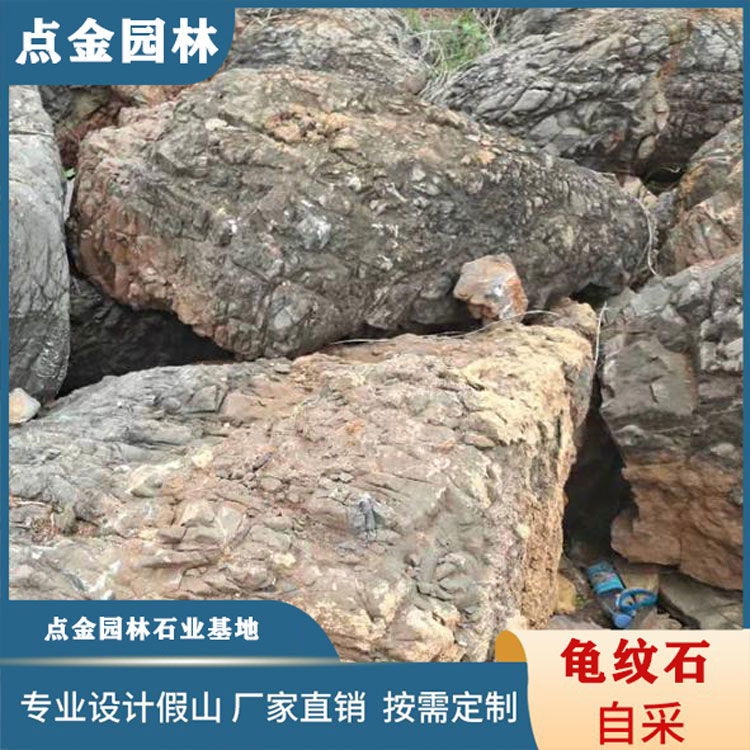 长沙大号型龟纹石 假山龟纹石 厂家直销 庭院龟纹石