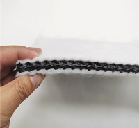 上海厂家供应 三维复合排水网 垃圾填埋场铁路隧道过滤HDPE土工排水网