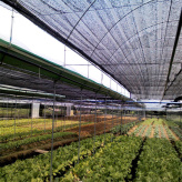 茄子种植薄膜大棚 农业薄膜温室大棚 花卉薄膜温室施工