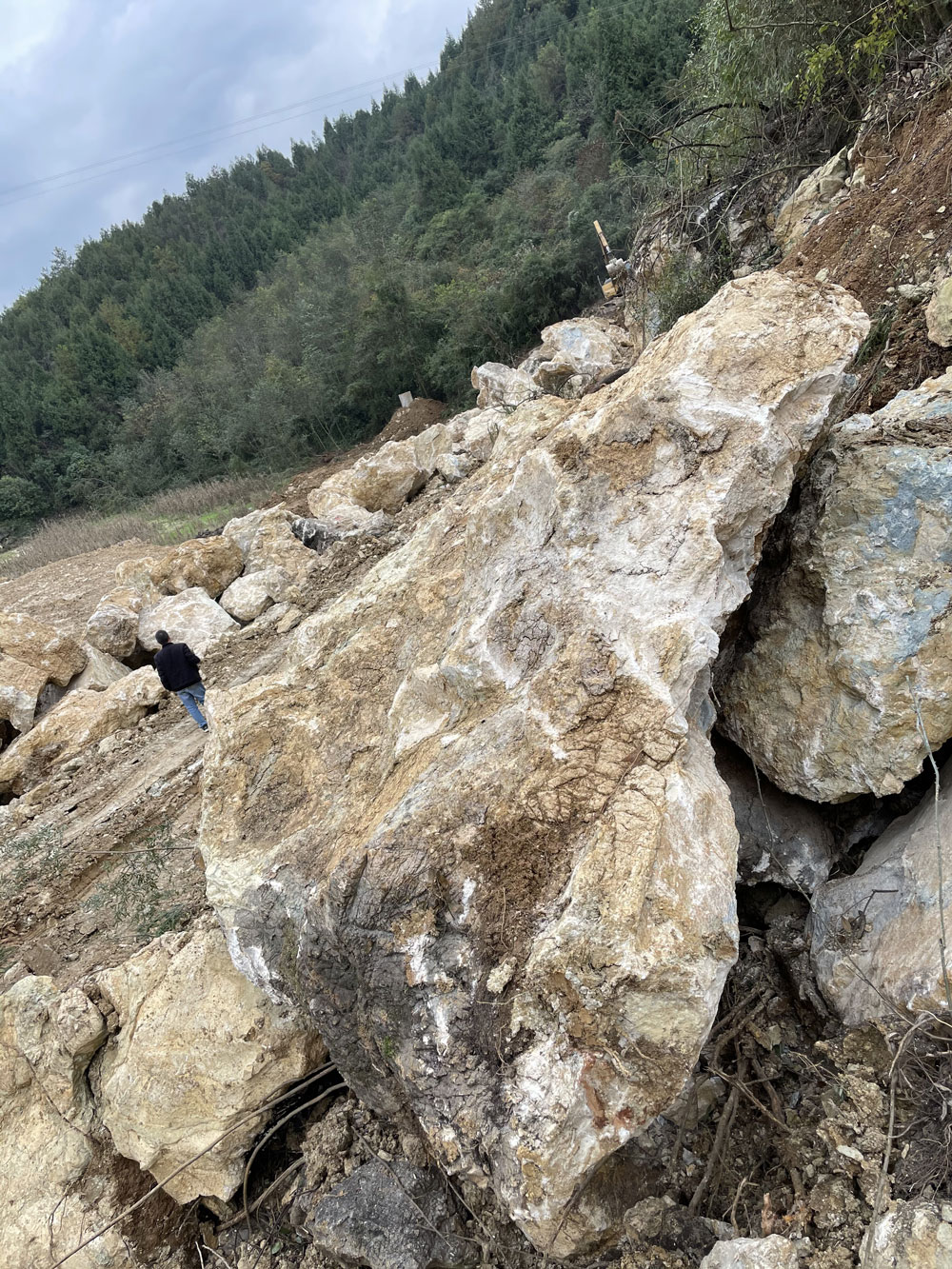 园林自然石 龟纹石假山 独特景观龟纹石 直销供应厂家